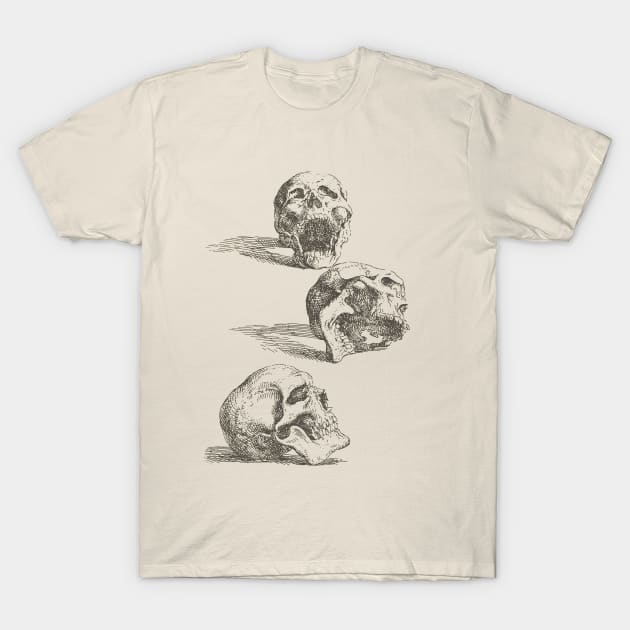 Salvator Rosa - Three Human Skulls T-Shirt by JohnnyBoyOutfitters